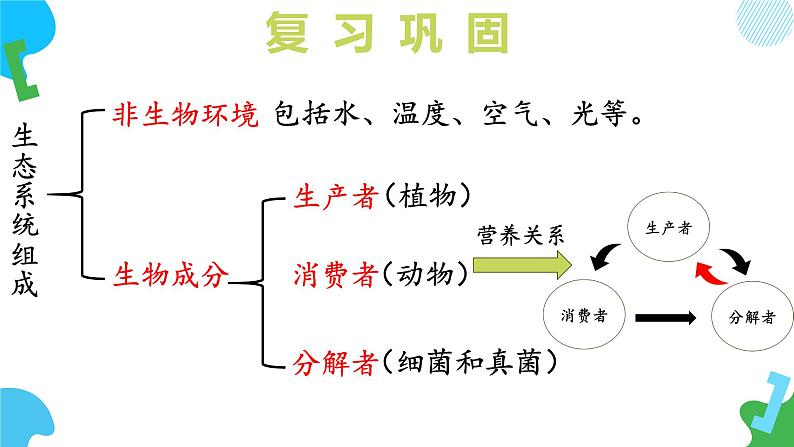 【核心素养】苏教版生物七年级下册 3.7.2 食物链和食物网（教学课件）第5页