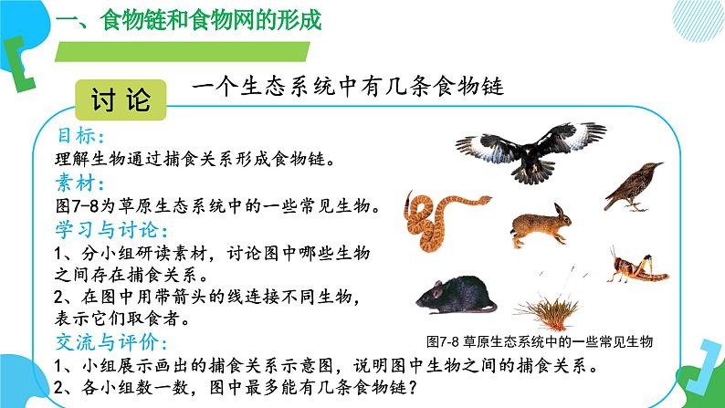 【核心素养】苏教版生物七年级下册 3.7.2 食物链和食物网（教学课件）第8页