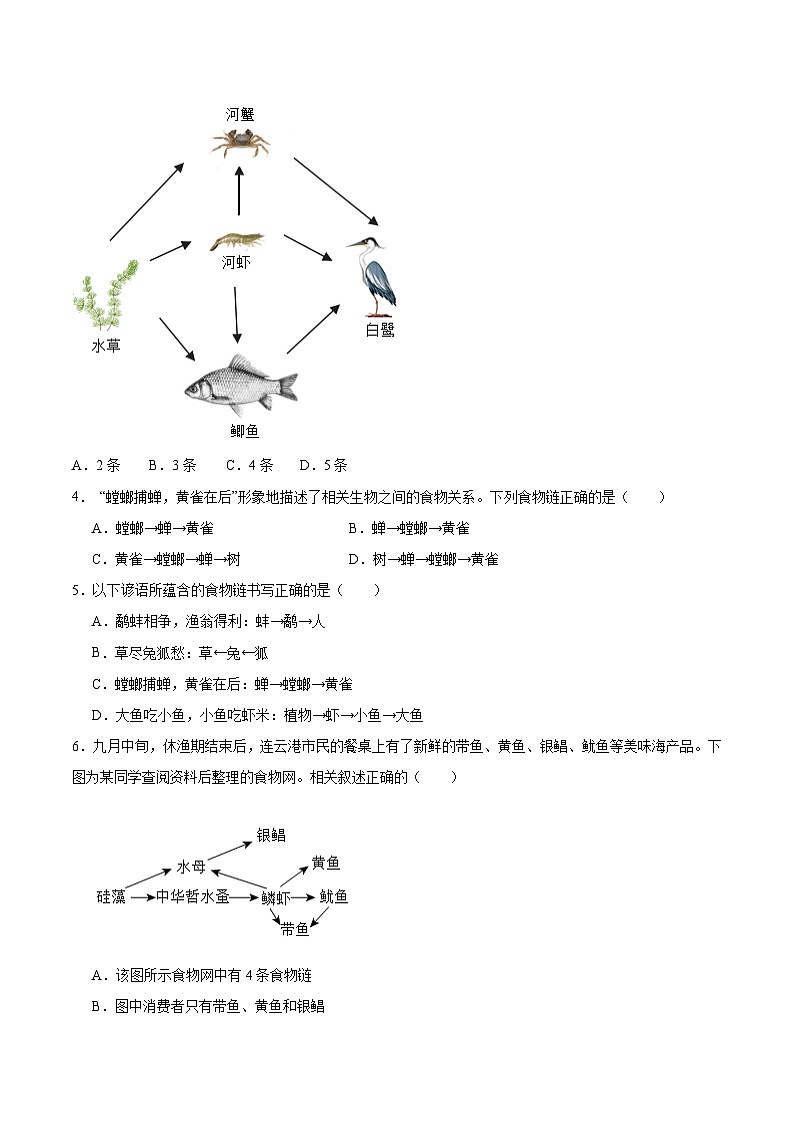 【核心素养】苏教版生物七年级下册 3.7.2  食物链和食物网（分层作业）（原卷版）第2页