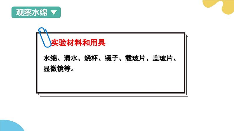 【核心素养】苏科版生物七年级下册 7.1 藻类 同步课件第8页