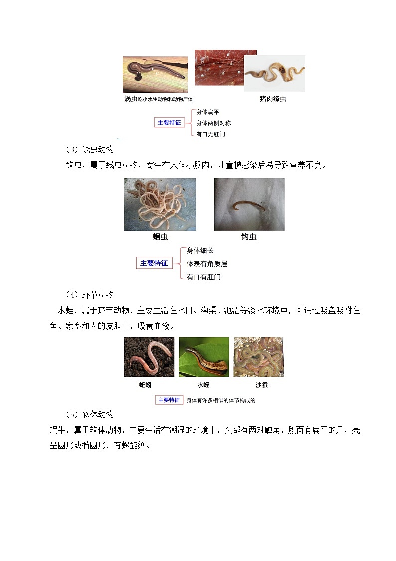 【核心素养】苏科版生物七年级下册 8.1 无脊椎动物（第1课时） 同步教案第3页