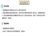 【核心素养】苏科版生物七年级下册 8.1 无脊椎动物（第2课时） 同步课件+同步教案