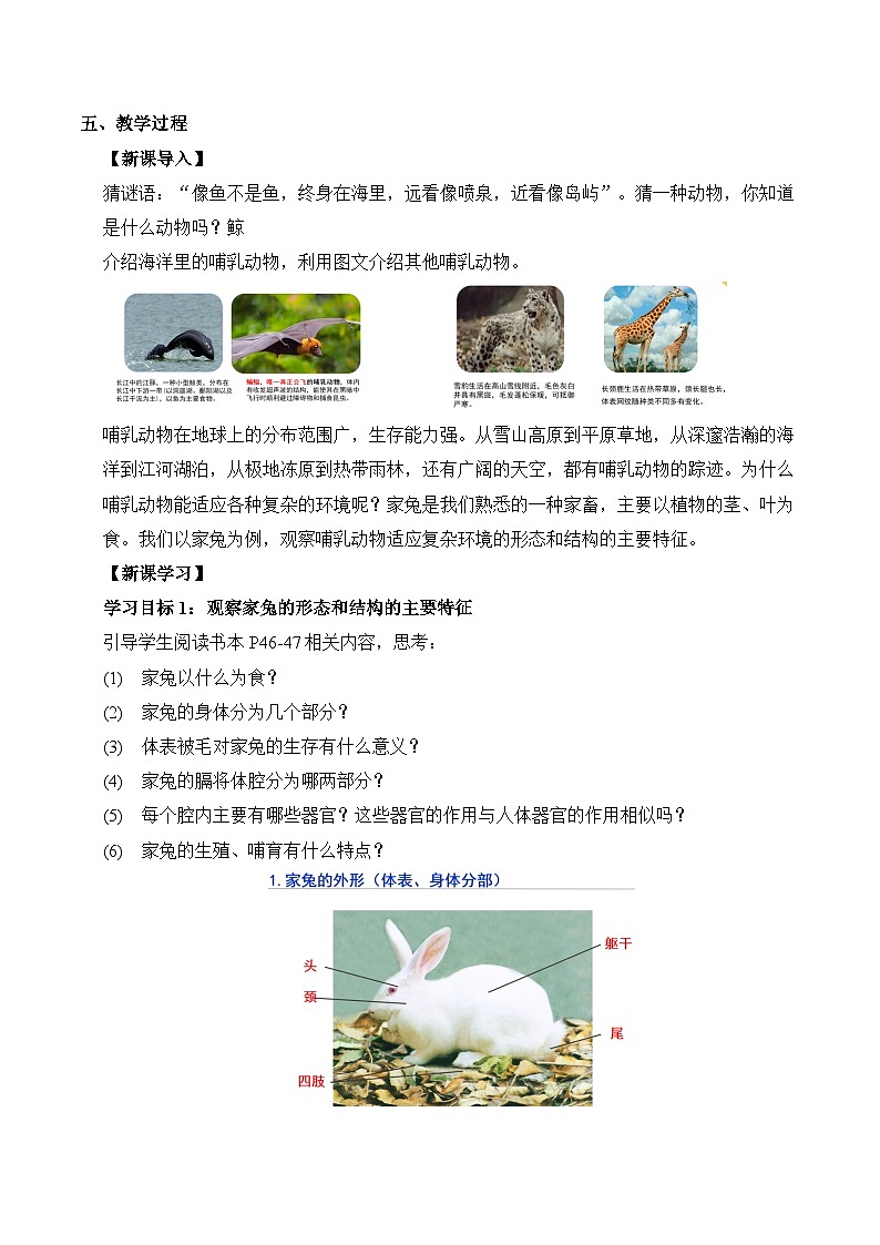 【核心素养】苏科版生物七年级下册 8.2 脊椎动物（第4课时） 同步教案第2页