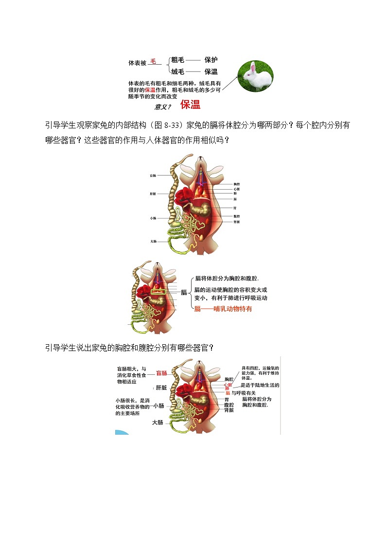 【核心素养】苏科版生物七年级下册 8.2 脊椎动物（第4课时） 同步教案第3页