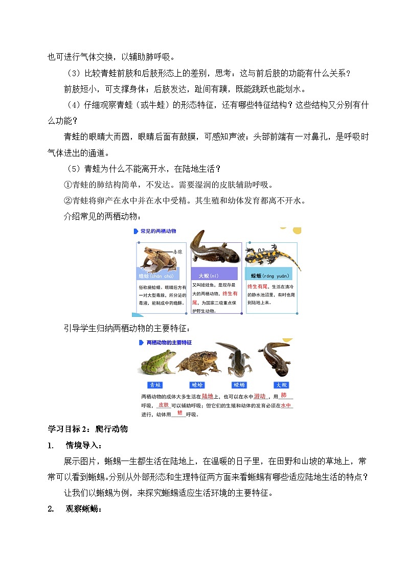 【核心素养】苏科版生物七年级下册 8.2 脊椎动物（第2课时） 同步教案第3页