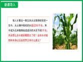 3.2.1 水的利用與散失 （課件）-2024--2025學(xué)年人教版生物七年級下冊