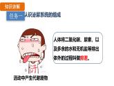 第五章  人体内废物的排出 （课件）-2024--2025学年人教版生物七年级下册