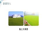 【核心素养目标】鲁教版生物六年级下册3.1.1《藻类》课件