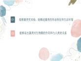 【核心素养目标】鲁教版生物六年级下册3.1.1《藻类》课件
