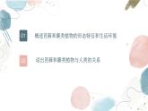【核心素养目标】鲁教版生物六年级下册3.1.2《苔藓植物和蕨类植物》课件