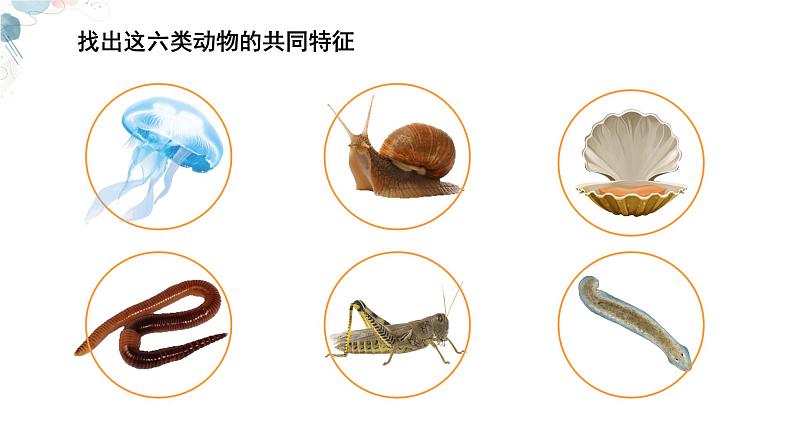 【核心素养目标】鲁教版生物六年级下册3.2.1《无脊椎动物》课件第4页