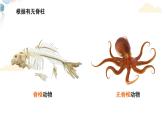 【核心素养目标】鲁教版生物六年级下册3.2.1《无脊椎动物》课件