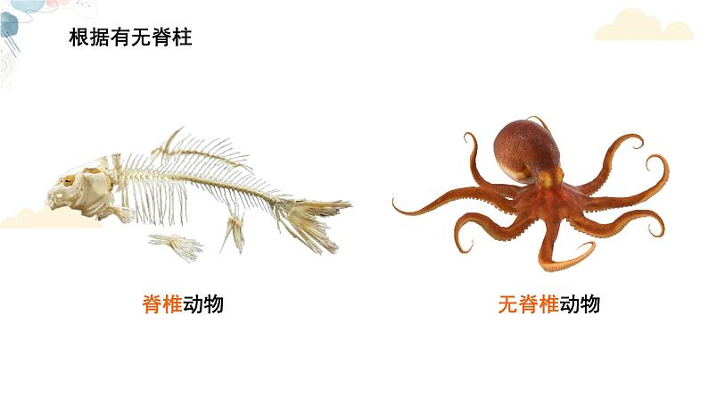 【核心素养目标】鲁教版生物六年级下册3.2.1《无脊椎动物》课件第5页