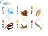 【核心素养目标】鲁教版生物六年级下册3.2.2《鱼类》课件