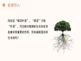 【核心素养目标】济南版初中生物七年级下册3.1.1《植物的根能够吸收水和无机盐》课件