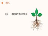 【核心素养目标】济南版初中生物七年级下册3.1.1《植物的根能够吸收水和无机盐》课件