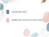 【核心素养目标】鲁教版初中生物六年级下册3.2.3《两栖类和爬行类》课件