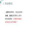 【核心素养目标】鲁教版初中生物六年级下册3.2.3《两栖类和爬行类》课件