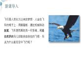 【核心素养目标】鲁教版初中生物六年级下册3.2.4《鸟类》课件