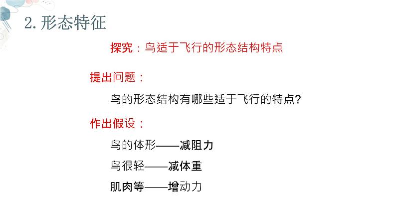 【核心素养目标】鲁教版初中生物六年级下册3.2.4《鸟类》课件第8页