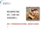 【核心素养目标】鲁教版初中生物六年级下册3.2.5《哺乳类》课件
