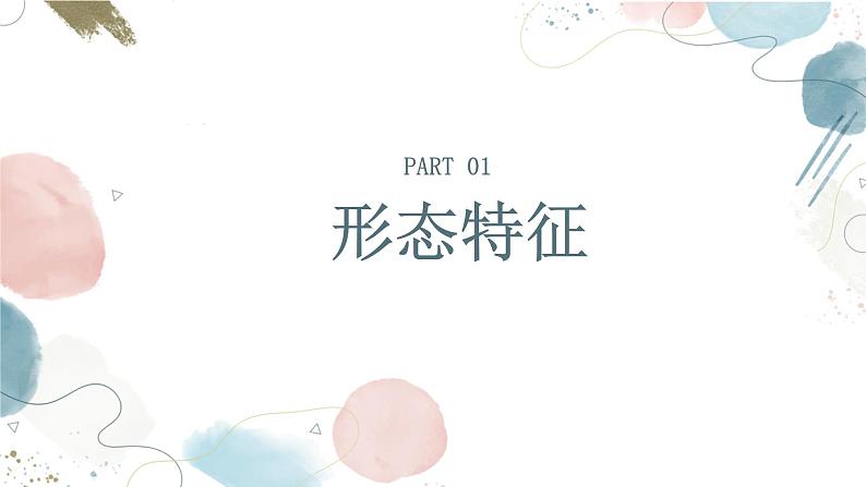 【核心素养目标】鲁教版初中生物六年级下册3.2.5《哺乳类》课件第4页