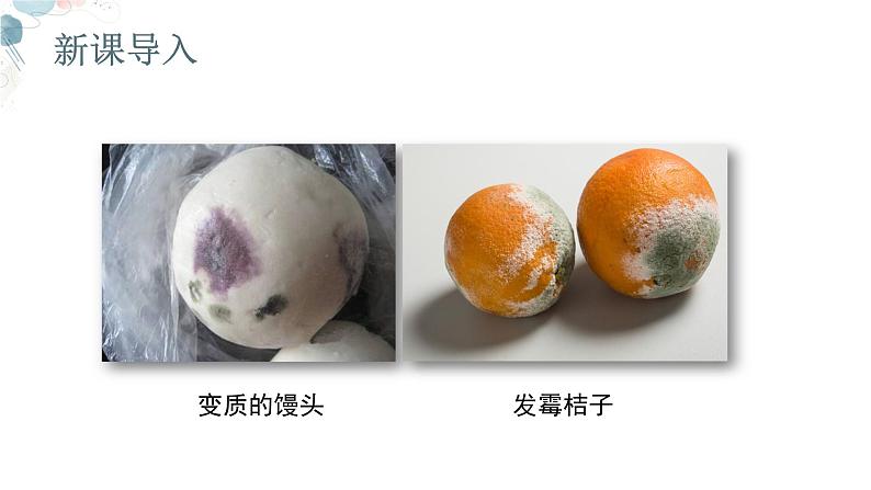 【核心素养目标】鲁教版初中生物六年级下册3.3.1《微生物在环境中的分布》课件第2页