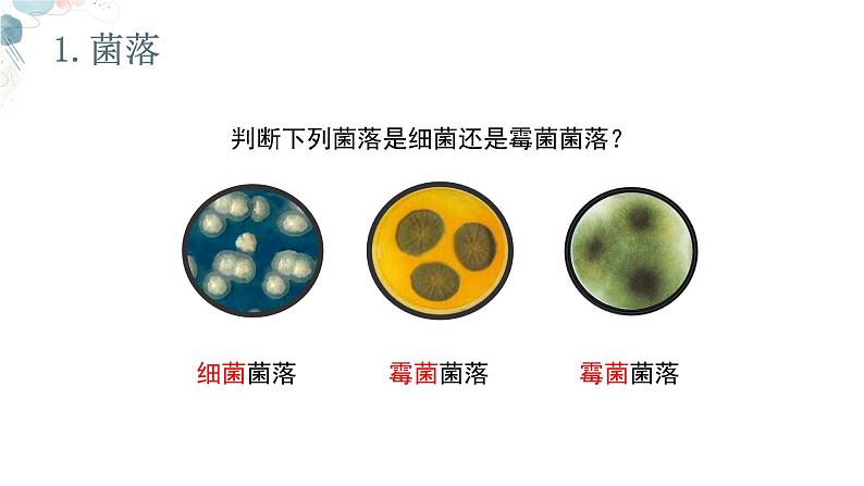 【核心素养目标】鲁教版初中生物六年级下册3.3.1《微生物在环境中的分布》课件第8页