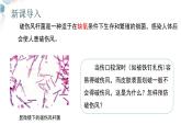【核心素养目标】鲁教版初中生物六年级下册3.3.2《细菌》课件