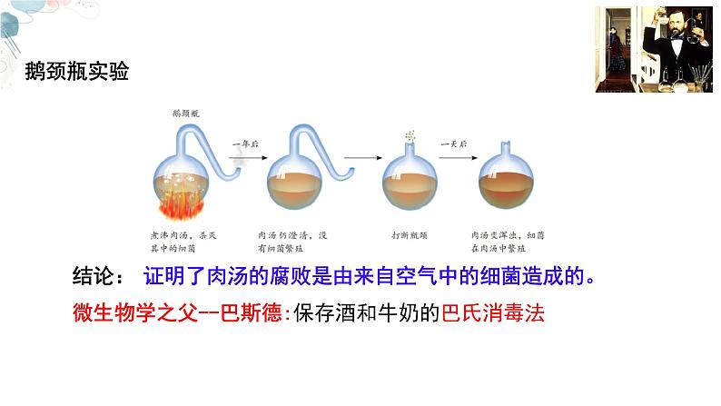 【核心素养目标】鲁教版初中生物六年级下册3.3.2《细菌》课件第4页