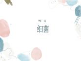 【核心素养目标】鲁教版初中生物六年级下册3.3.2《细菌》课件