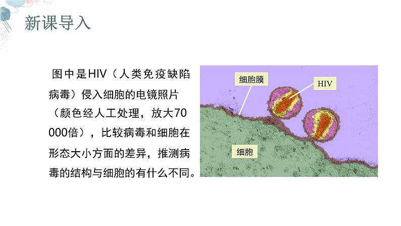 【核心素养目标】鲁教版初中生物六年级下册3.3.4《病毒》课件第2页