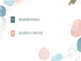 【核心素养目标】鲁教版初中生物六年级下册3.3.4《病毒》课件
