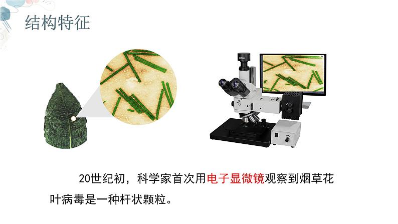 【核心素养目标】鲁教版初中生物六年级下册3.3.4《病毒》课件第7页