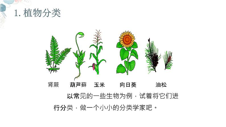 【核心素养目标】鲁教版初中生物六年级下册3.4.1《尝试对生物分类》课件第4页