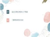 【核心素养目标】鲁教版初中生物六年级下册3.4.2《从种到界》课件