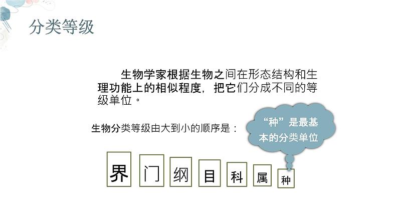 【核心素养目标】鲁教版初中生物六年级下册3.4.2《从种到界》课件第5页