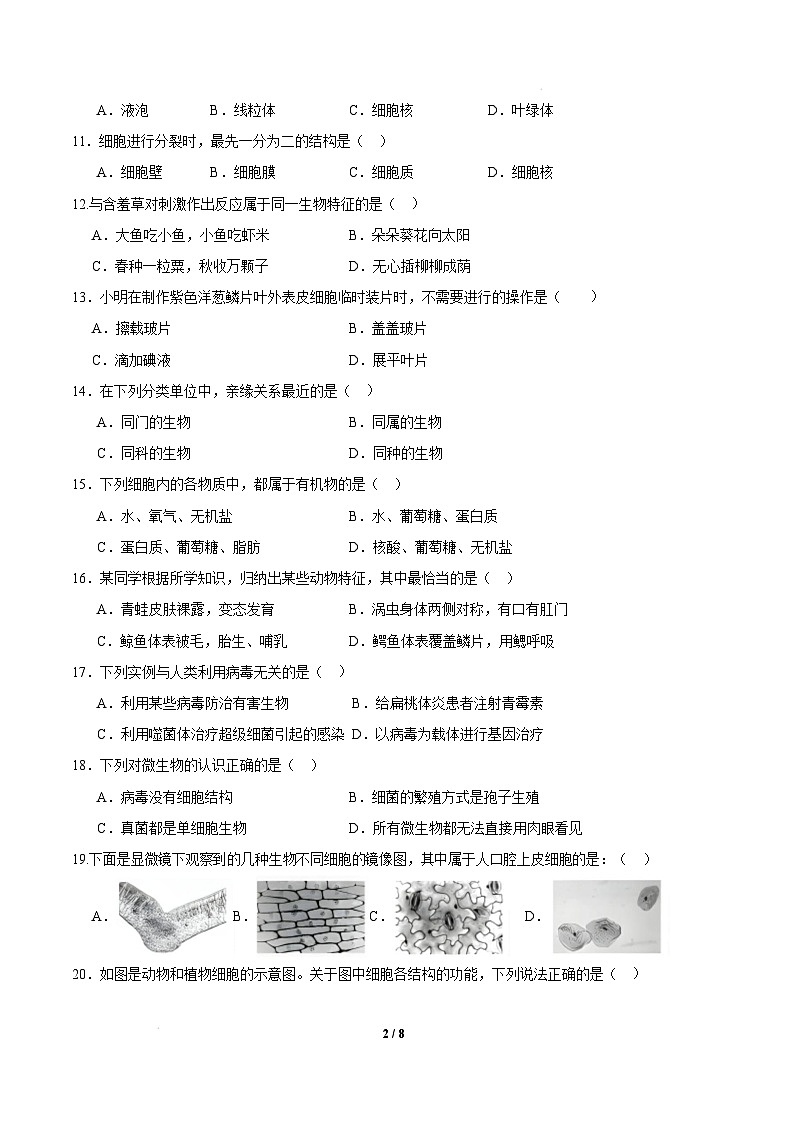 七年级生物开学摸底考01（人教版2024）-2024-2025学年初中下学期开学摸底考试卷 七年级生物开学摸底考01（人教版2024）（考试版）第2页