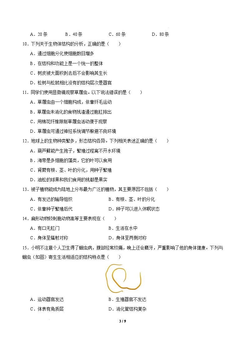 七年级生物开学摸底考试卷（福建专用）（考试版）第3页