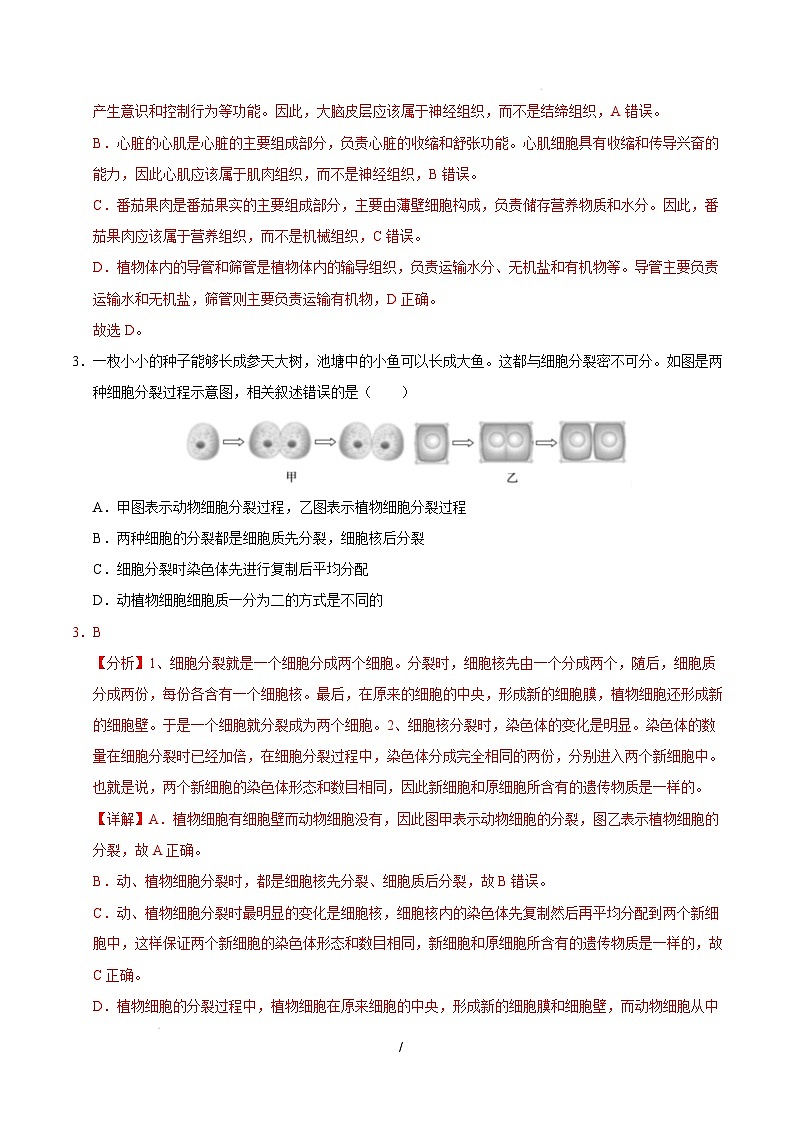 七年级生物开学摸底考（上海专用）（全解全析）第2页