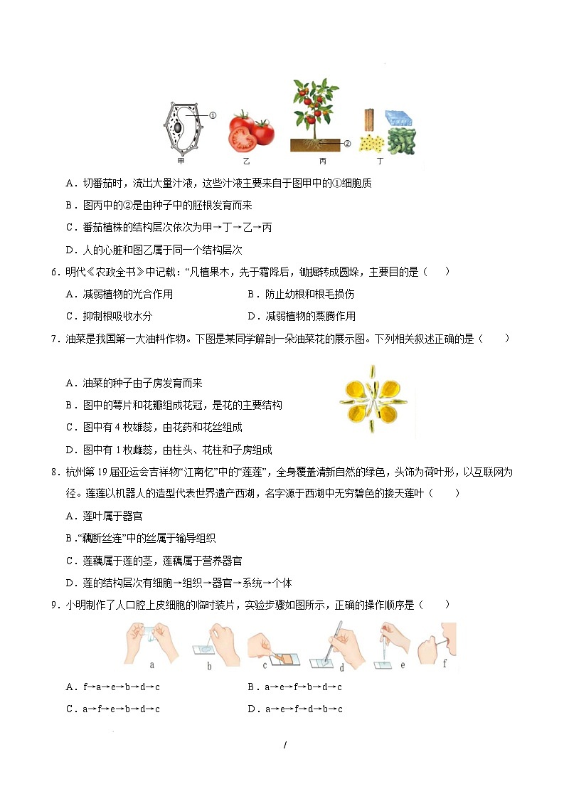 七年级生物开学摸底考（上海专用）（考试版）第2页