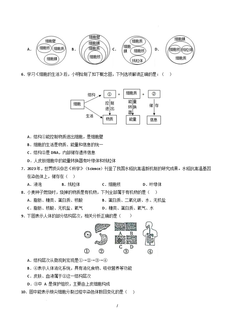七年级生物开学摸底考（四川成都专用）（考试版）第2页