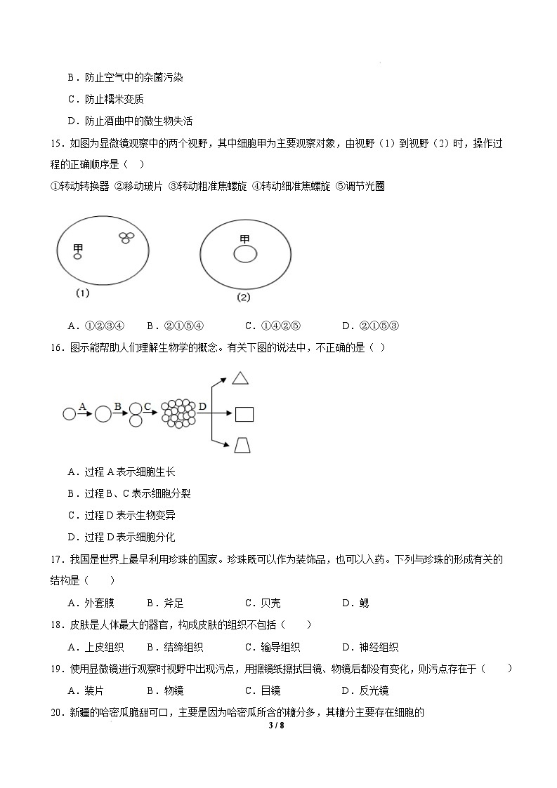 七年级生物开学摸底考（广东专用）（考试版）第3页