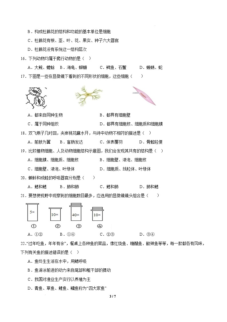 七年级生物开学摸底考（广州专用）-2024-2025学年初中下学期开学摸底考试卷 七年级生物开学摸底考（广州专用）（考试版）第3页