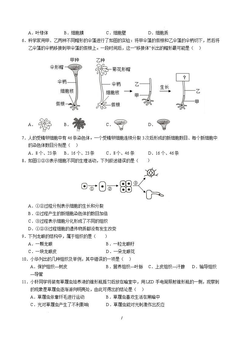 七年级生物开学摸底考（深圳专用）（考试版）第2页