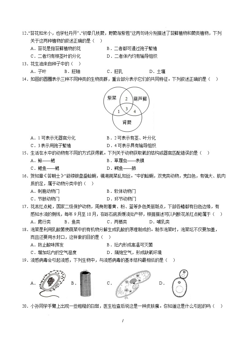 七年级生物开学摸底考（深圳专用）（考试版）第3页