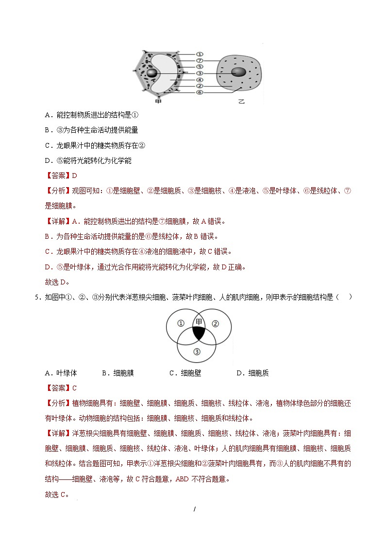 七年级生物开学摸底考（深圳专用）（全解全析）第3页