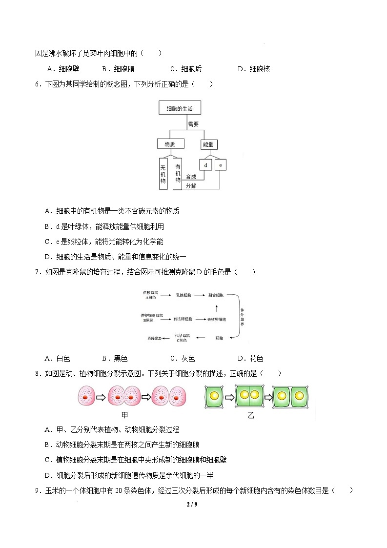 七年级生物开学摸底考试卷（福建专用）（考试版）第2页