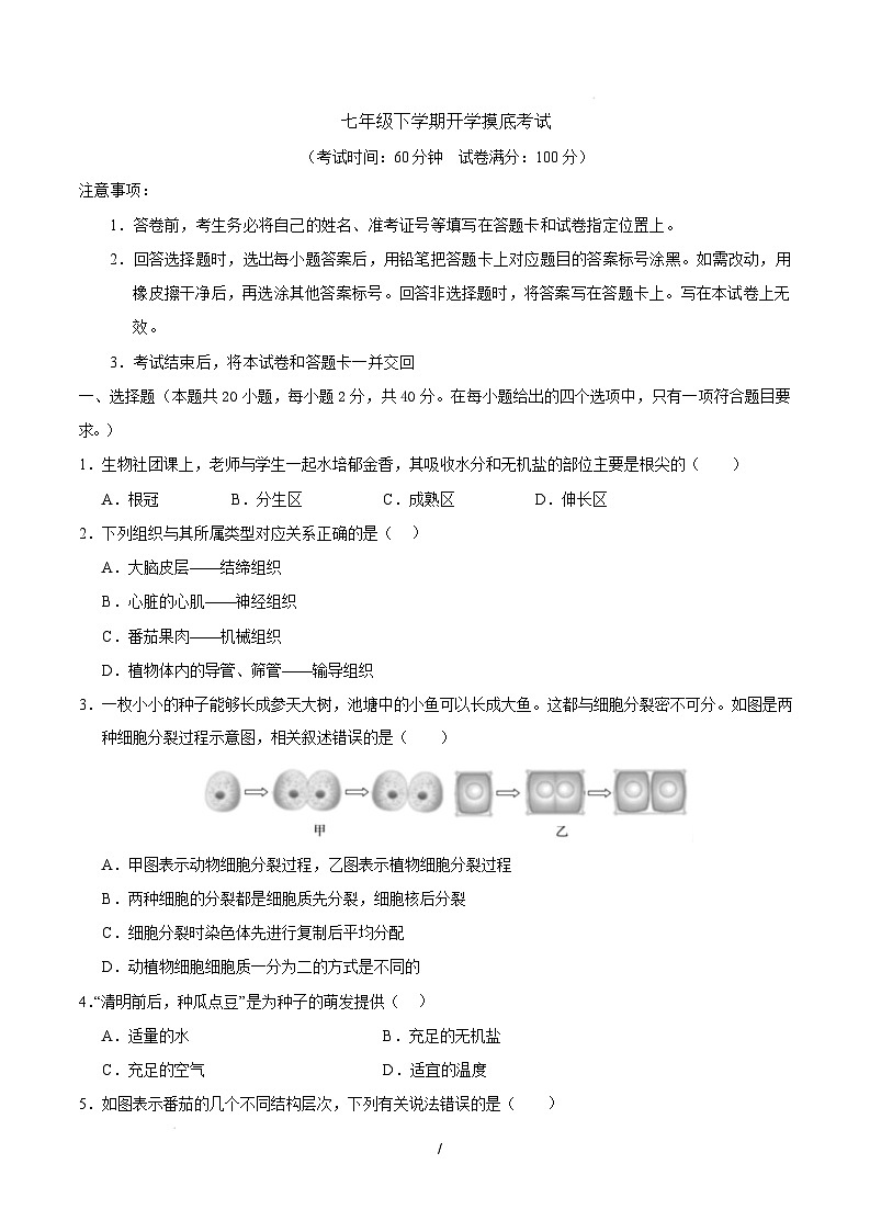 七年级生物开学摸底考（上海专用）（考试版）第1页