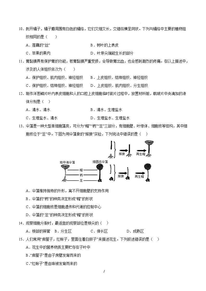 七年级生物开学摸底考（上海专用）（考试版）第3页